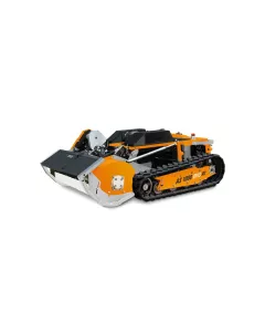 AS Motor AS 1000 Ovis RC